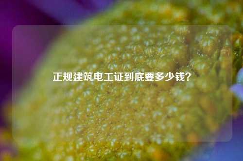 正規建筑電工證到底要多少錢？-圖1