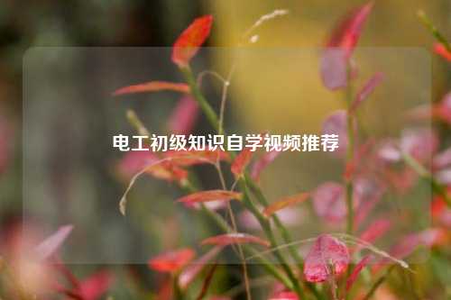 電工初級知識自學視頻推薦-圖1