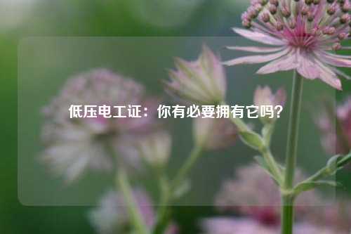 低壓電工證：你有必要擁有它嗎？-圖1
