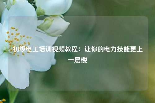 初級電工培訓視頻教程：讓你的電力技能更上一層樓-圖1