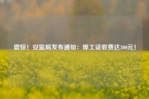 震驚！安監局發布通知：焊工證收費達300元！-圖1