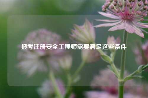 報考注冊安全工程師需要滿足這些條件-圖1