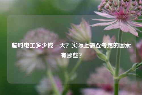 臨時(shí)電工多少錢(qián)一天？實(shí)際上需要考慮的因素有哪些？-圖1