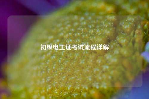 初級(jí)電工證考試流程詳解-圖1
