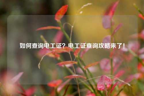 如何查詢電工證？電工證查詢攻略來了！-圖1
