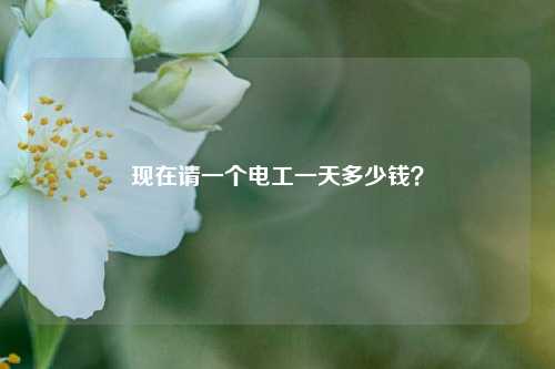 現在請一個電工一天多少錢？-圖1