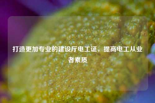 打造更加專業的建設廳電工證，提高電工從業者素質-圖1