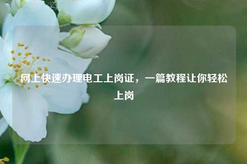 網上快速辦理電工上崗證，一篇教程讓你輕松上崗-圖1