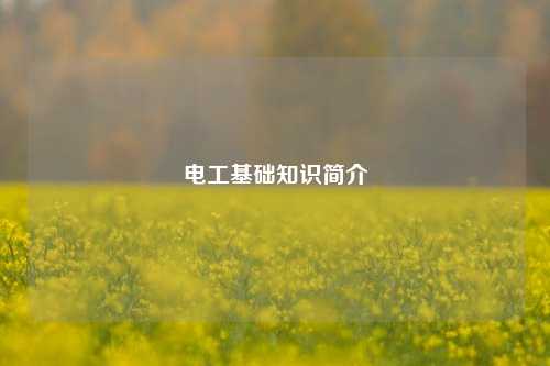 電工基礎(chǔ)知識(shí)簡(jiǎn)介-圖1
