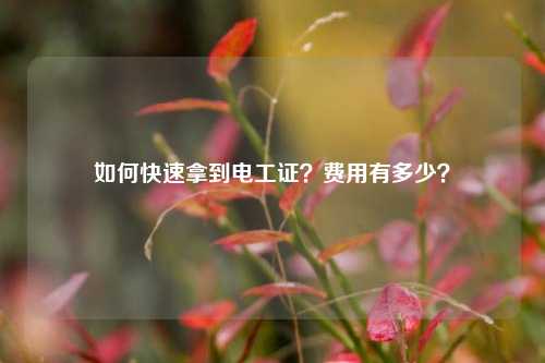 如何快速拿到電工證？費用有多少？-圖1