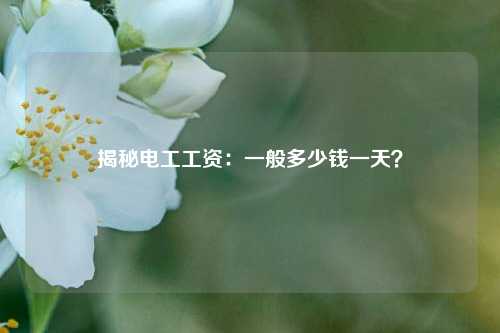 揭秘電工工資：一般多少錢一天？-圖1