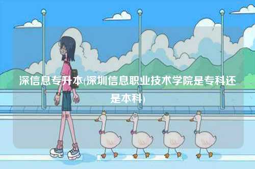 深信息專升本(深圳信息職業(yè)技術(shù)學院是專科還是本科)-圖1