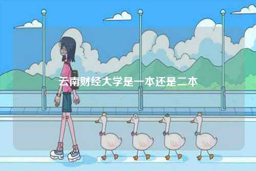 云南財經大學是一本還是二本-圖1