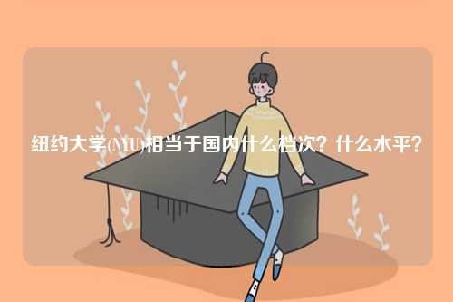 紐約大學(NYU)相當于國內什么檔次？什么水平？-圖1